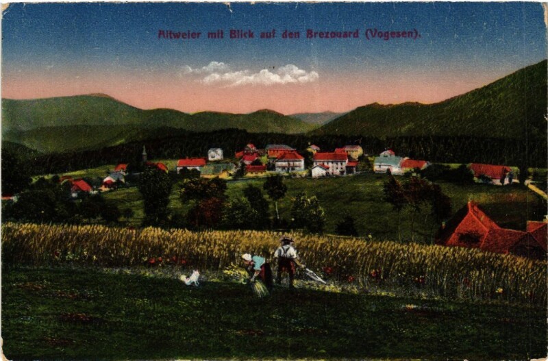 Carte postale ancienne Altweier mit Blick auf den Brezouard