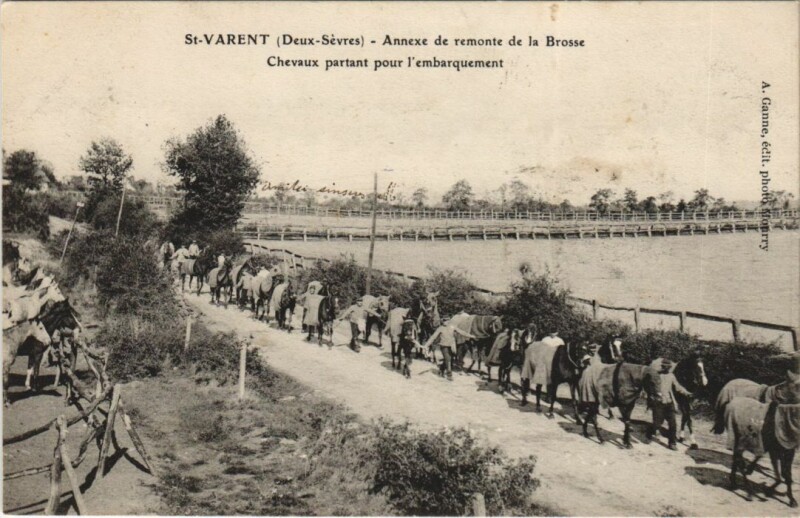 Carte postale ancienne Saint-Varent Annexe de Remonte de la Brosse à Saint-Varent