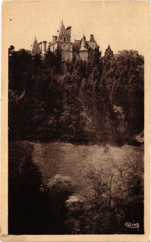 Carte postale ancienne Chateau des Halles