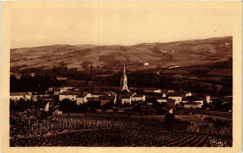 Carte postale ancienne Le Perreon - Vue panoramique au Perréon