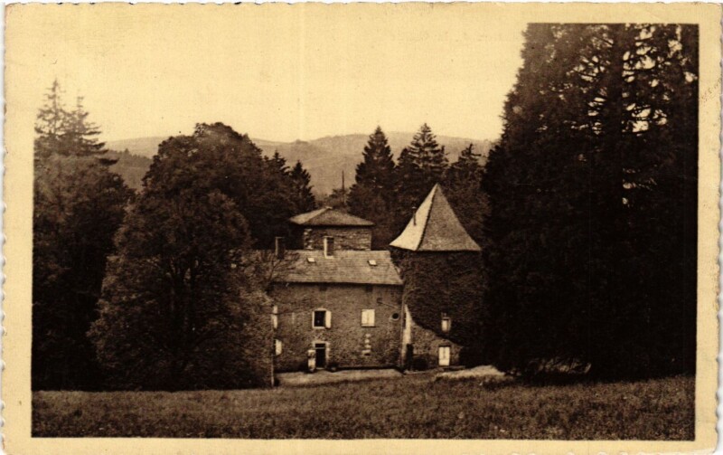 Carte postale ancienne Amplepuis - Chateau de la Goutte à Amplepuis
