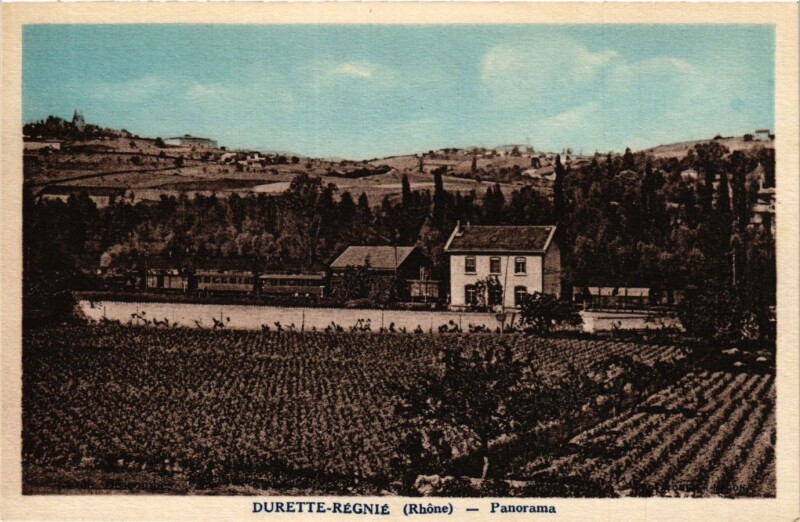 Carte postale ancienne Durette Regnie - Panorama