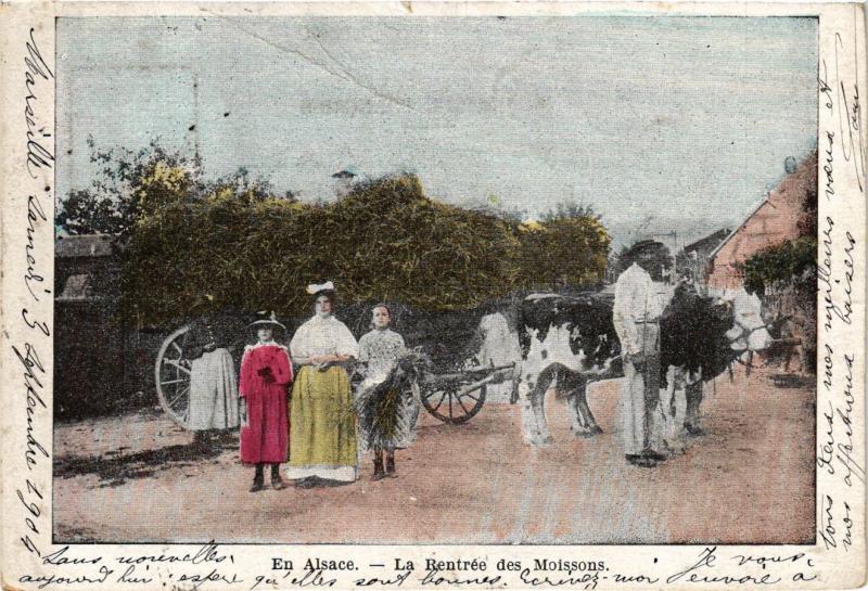 Carte postale ancienne En Alsace - La Rentrée des Moissons