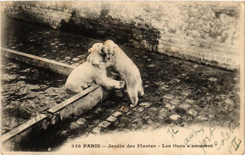 Carte postale ancienne Paris 5e-Jardin des Plantes-Les Ours s'amusent à Paris 5e