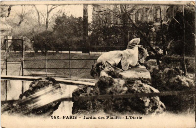 Carte postale ancienne Paris 5e-Jardin des Plantes-L'Otarie à Paris 5e