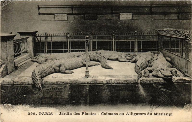 Carte postale ancienne Paris 5e-Jardin des Plantes-Caimans ou Alligators du Missisipi à Paris 5e