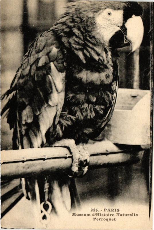 Carte postale ancienne Paris 5e-Museum d'Histoire Naturelle-Perroquet à Paris 5e