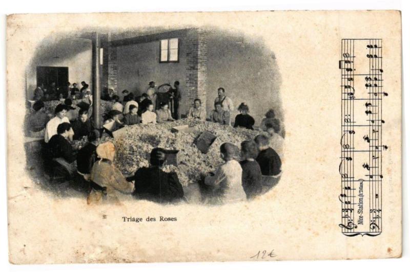 Carte postale ancienne Triage des Roses