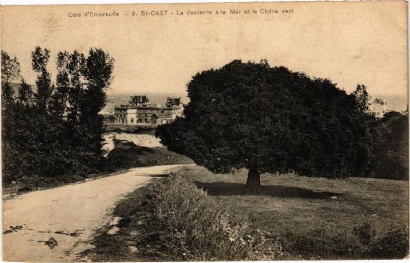 Carte postale ancienne Cote d'Emeraude - Saint-Cast - La descente a la Mer et le Chéne vert