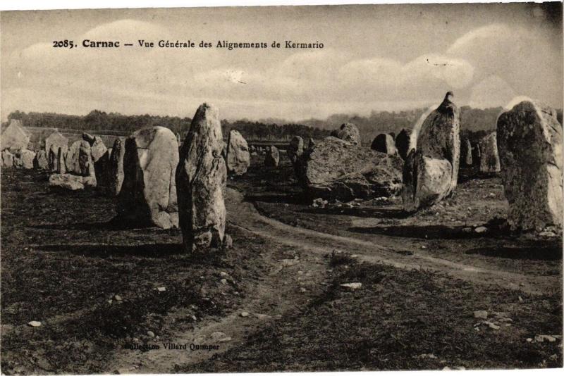 Carte postale ancienne Carnac - Vue générale des Alignements de Kermario à Carnac