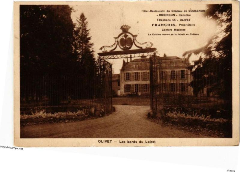 Carte postale ancienne Olivet - Les Bords du Loiret à Olivet
