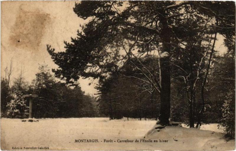 Carte postale ancienne Montargis - Foret - Carrefour de l'Etoile en hiver à Montargis