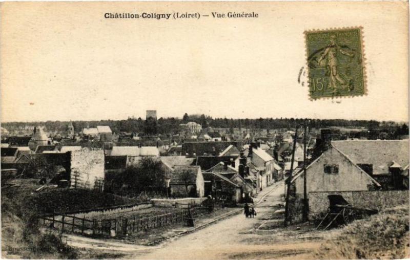 Carte postale ancienne Chatillon-Coligny-Vue générale