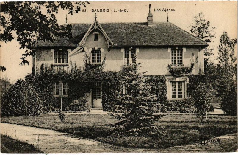 Carte postale ancienne Salbris (L.-&-C.) - Les Ajoncs à Salbris