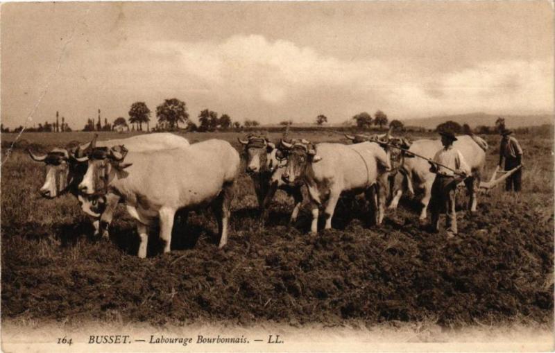 Carte postale ancienne Busset - Labourage Bourbonnais à Busset