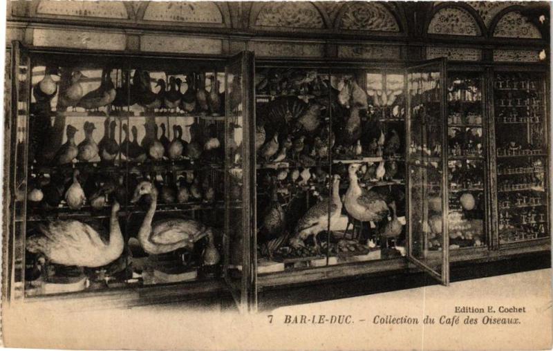 Carte postale ancienne Bar le Duc-Collection du Café des Oiseaux à Bar-le-Duc