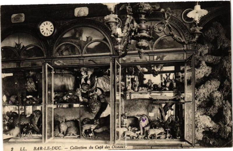 Carte postale ancienne Bar le Duc-Collection du Café des Oiseaux à Bar-le-Duc