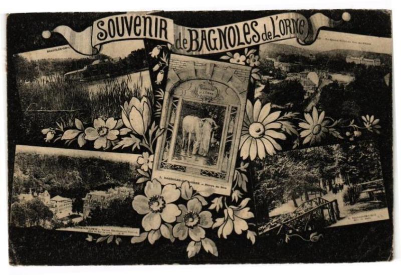 Carte postale ancienne Souvenir Bagnoles-de-l'Orne