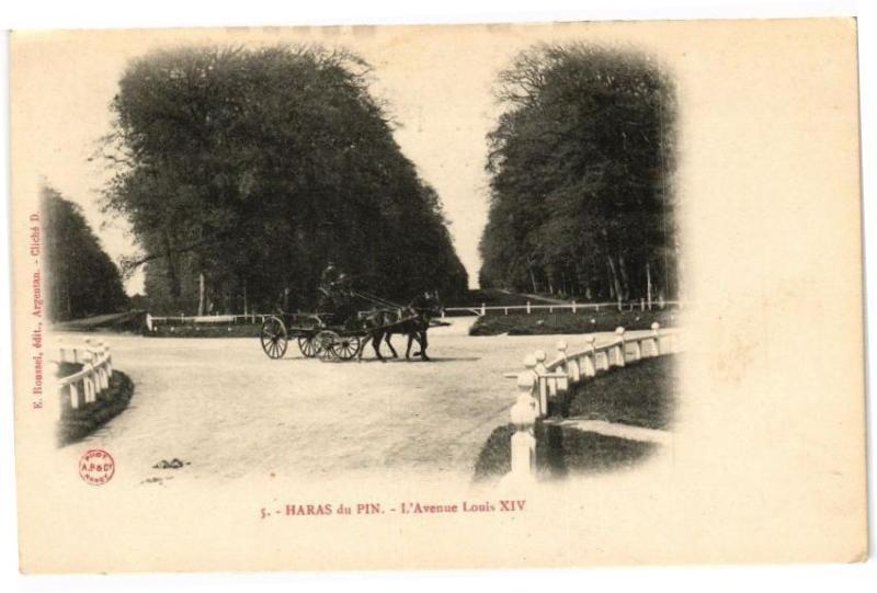 Carte postale ancienne La Haras-du-Pin - L'avenue louis