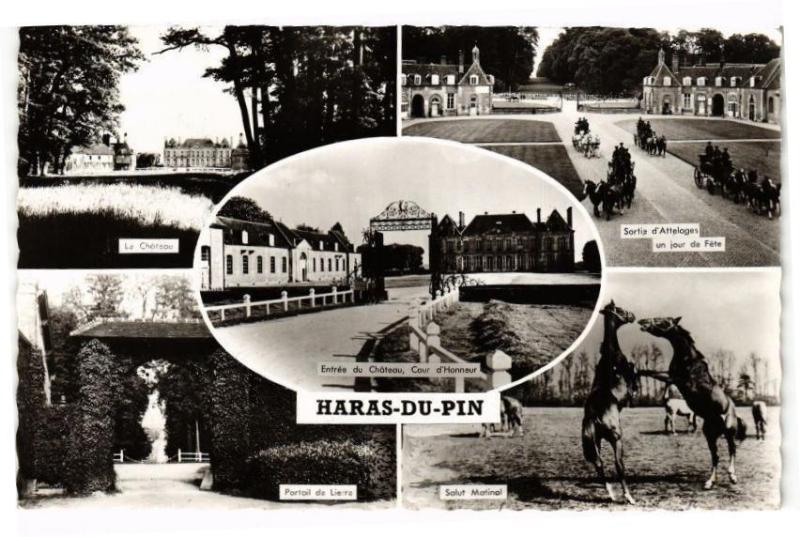 Carte postale ancienne Haras-du-Pin