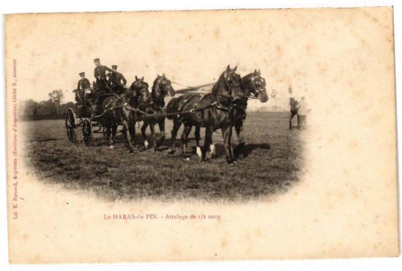 Carte postale ancienne Le Haras-du-Pin - Attelage de 1/2 sang