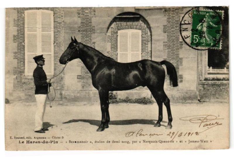 Carte postale ancienne Le Haras-du-Pin - <<beaumanoir>>