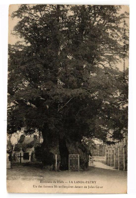 Carte postale ancienne Environs de flers .- La lande - patry à Flers