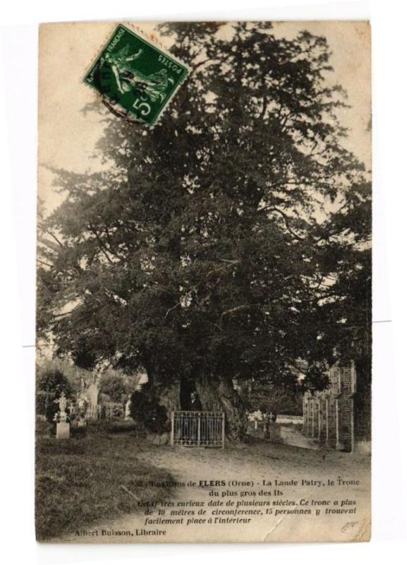 Carte postale ancienne Environs de flers(orne) .- La lande patry à Flers