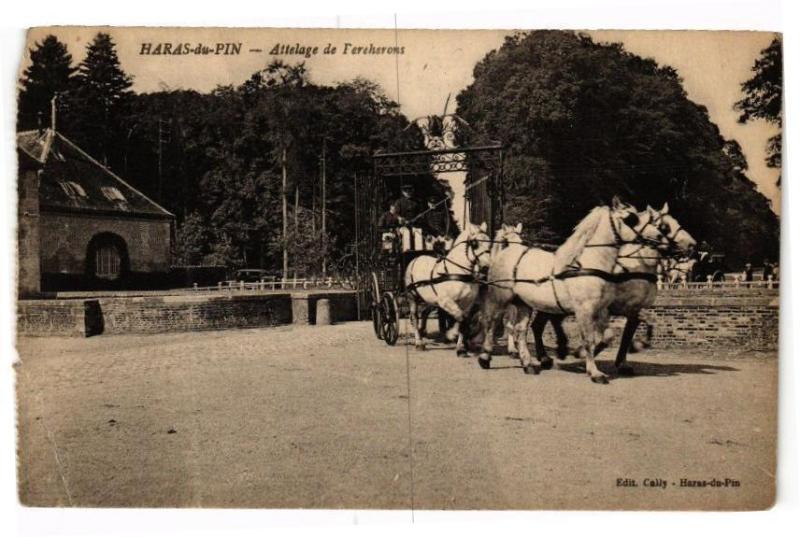 Carte postale ancienne Haras-du-Pin - Attelage de fereherons
