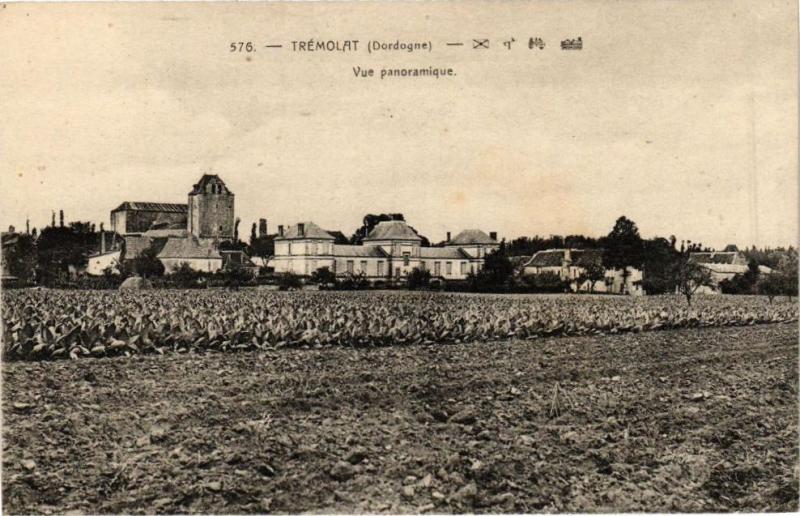 Carte postale ancienne Trémolat-Vue panoramique à Trémolat