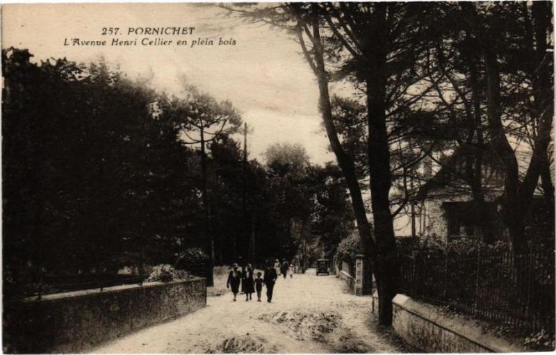 Carte postale ancienne Pornichet - L'Avenue Henri Cellier en plein bois à Pornichet