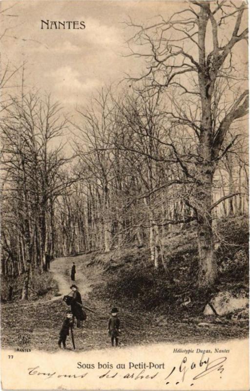 Carte postale ancienne Nantes - Sous bois au Petit-Port à Nantes