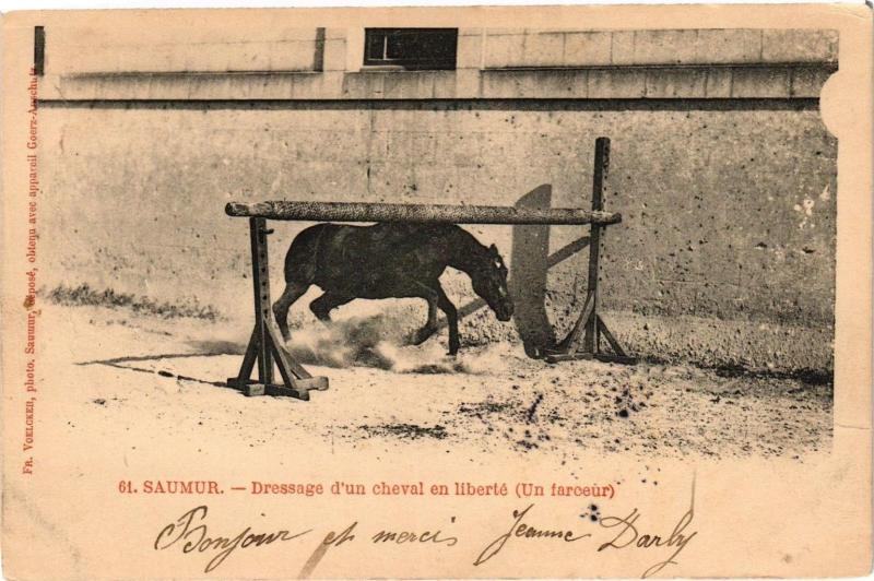Carte postale ancienne Saumur - Dressage d'un cheval en liberte (Un farceur) à Saumur
