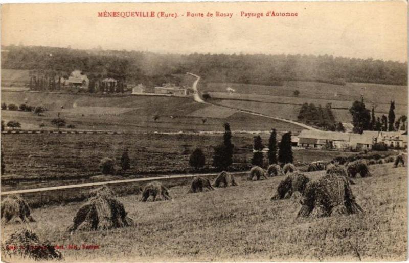 Carte postale ancienne Ménesqueville - Route de Rosay - Paysage d'Automne à Ménesqueville