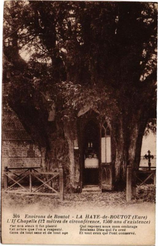 Carte postale ancienne Environs de Routot - La Haye-de-Routot - L'If Chapelle .. à La Haye-de-Routot