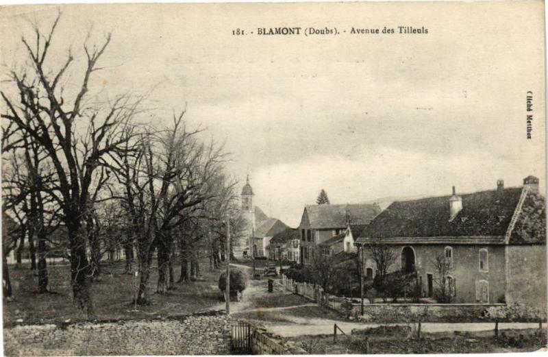 Carte postale ancienne Blamont - Avenue des Tilleuis à Blamont