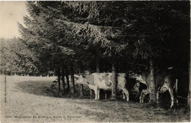 Carte postale ancienne Montagne du Doubs - Apres le Paturage à Doubs