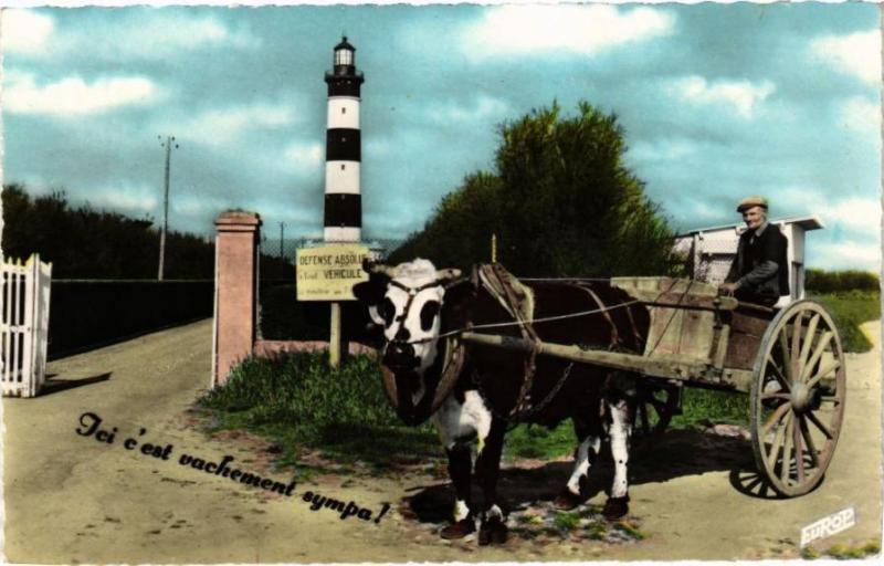 Carte postale ancienne Ile d'Oleron - Attelage Oléronale au pharé de Chassiron