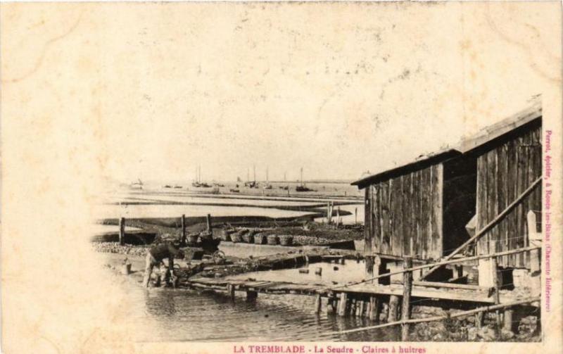 Carte postale ancienne La Tremblade - La Saudre - Claires a huitres à La Tremblade