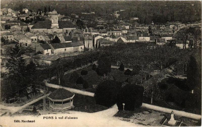 Carte postale ancienne Pons avol d'oiseau