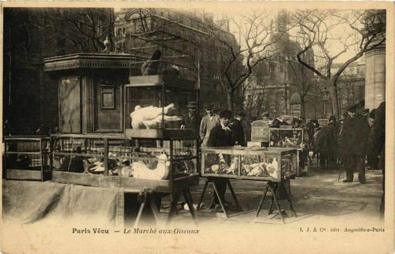 Carte postale ancienne Paris Vecu. Le Marche aux Oiseaux