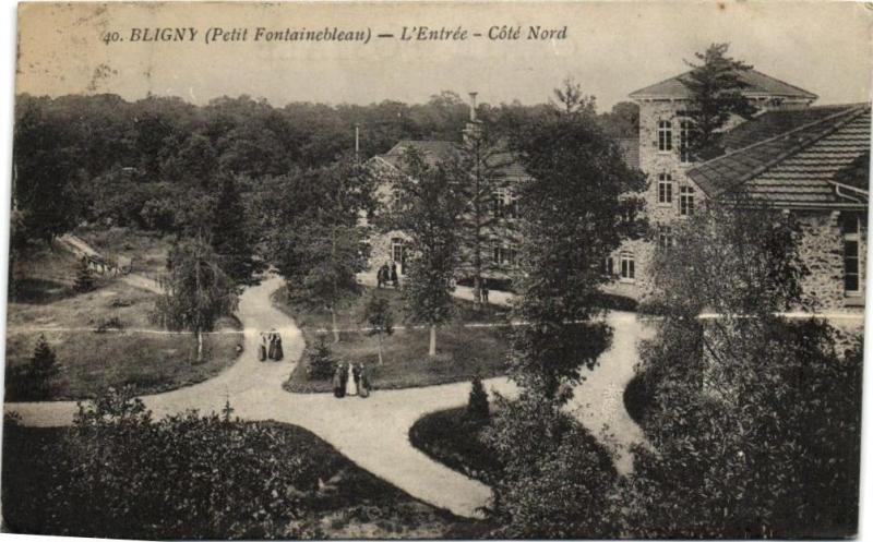 Carte postale ancienne Bligny-L'Entrée-Cóté Nord