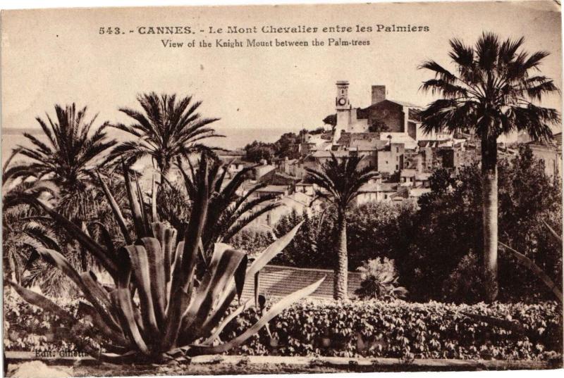 Carte postale ancienne Cannes - Le Mont Chevalier entre les Palmiers à Cannes