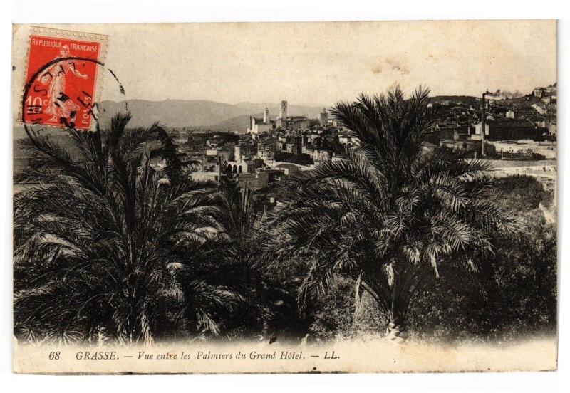 Carte postale ancienne Grasse - Vue entre les palmiers du grand hotel à Grasse