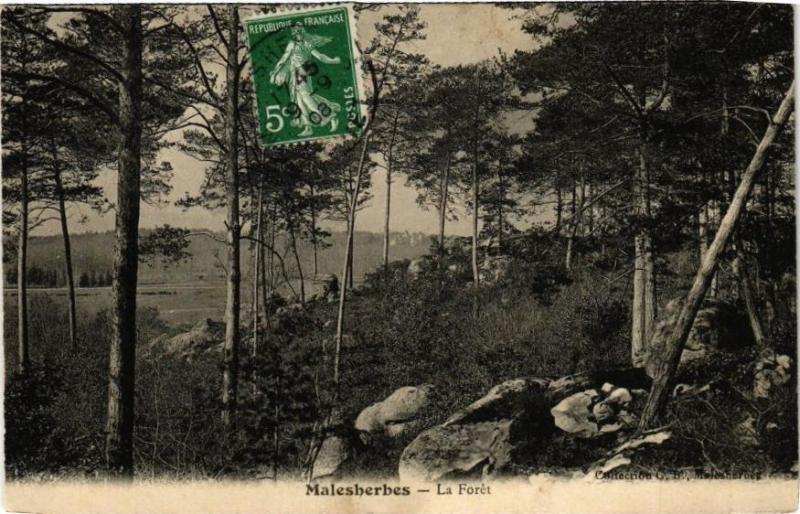 Carte postale ancienne Malesherbes - La Foret
