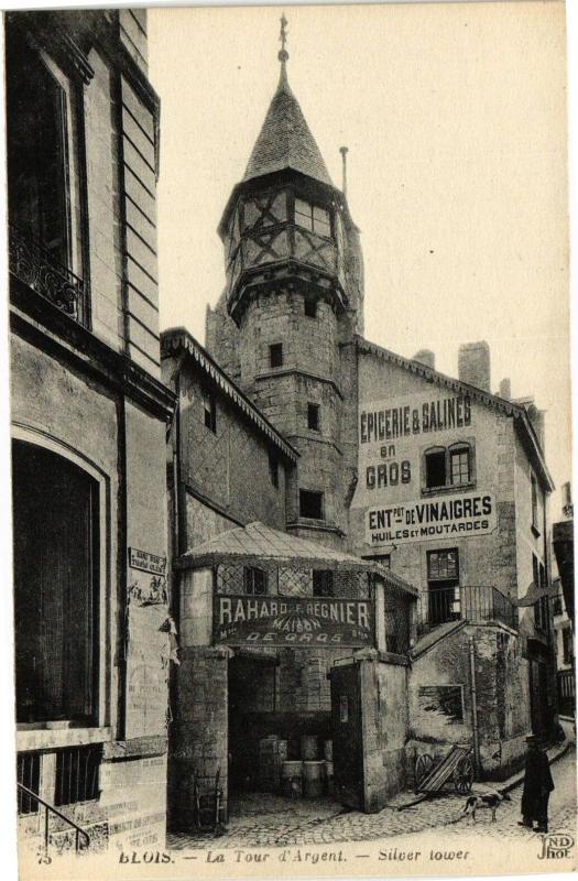 Carte postale ancienne Blois - La Tour d'Argent - Silver Tower à Blois