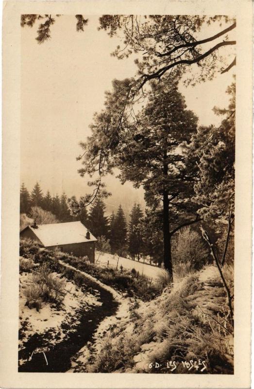 Carte postale ancienne Les Vosges