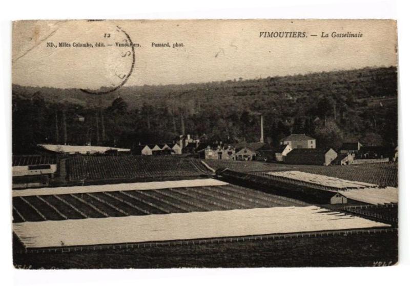 Carte postale ancienne Vimoutiers - La gosselianaie à Vimoutiers
