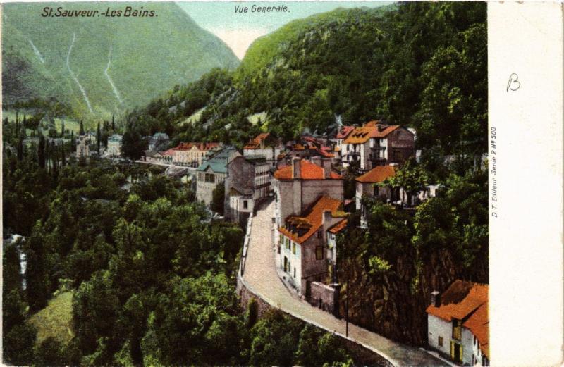 Carte postale ancienne Saint-Sauveur-les-Bains Vue générale