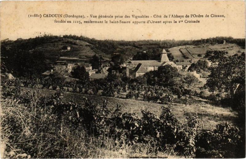 Carte postale ancienne Cadouin-Vue générale prise des Vignobles